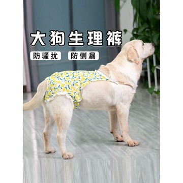 【48時熱賣】狗狗生理褲母狗發情姨媽褲安全褲女狗專用經期防交配金毛犬衛生巾