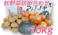 北海道 富良野産 野菜 10kgセット じゃがいも＆玉ねぎ＆かぼちゃ 3種 詰め合わせ (中山農園)