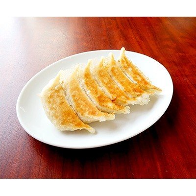 ふるさと納税 宇都宮市 　餃子20個入り