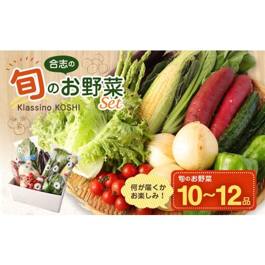 ふるさと納税 熊本県 合志市 合志の旬の お野菜 セット 10〜12品