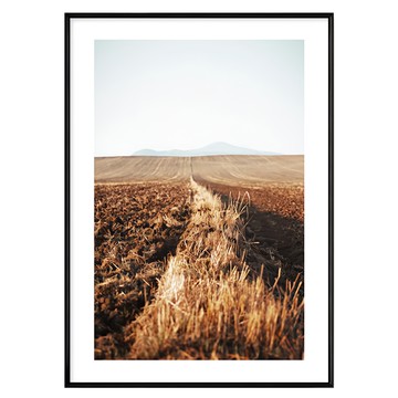 秋收 II 棕色田野風景藝術掛畫  59.4 x 42cm  黑色