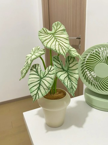 扭一扭🌹 扭扭棒盆栽diy手作材料包自製彩芋葉成品擺件送朋友閨蜜生日禮物