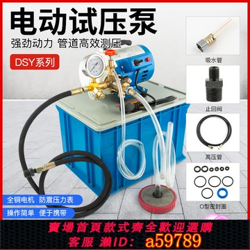 【全網低價 可打統編】DSY-2560手提式電動試壓泵PPR水管道試壓機雙缸打壓泵打壓機