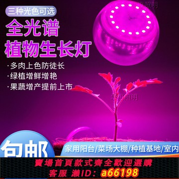 【台灣公司 可開發票】植物補光燈多肉大棚生長燈仿太陽全光譜夾子花架家用上色室內光照