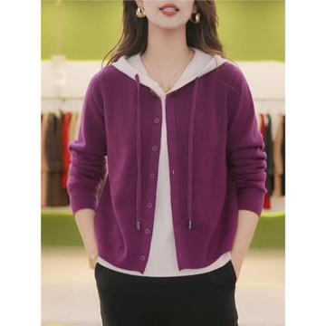 假兩件設計抽繩連帽毛衣女2025秋休閑百搭氣質寬松顯瘦紫色上衣