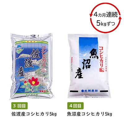 ふるさと納税 新潟県 新潟ブランドコシヒカリ食べくらべ5kg全4回