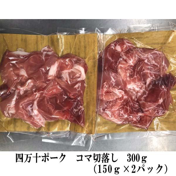 吉岡精肉店厳選 高知県産四万十ポーク 四万十鶏セット　豚ローストンテキ用　豚ローススライス　豚コマ切落し　ポークハム　ポークウインナー　若鶏モモ肉　国産