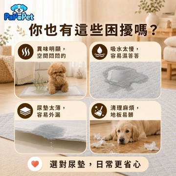 台灣現貨 竹炭寵物尿墊 狗狗尿布墊 貓咪尿墊 加厚吸水鎖水 除臭抑味 乾爽不回滲