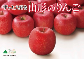 【日本JA全農】山形陽光富士蜜蘋果
