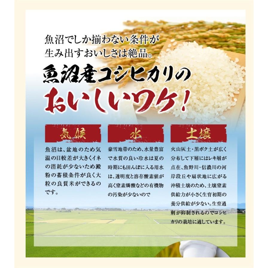 令和５年産 新米 コシヒカリ 2kg 特Ａ地区 魚沼産 新潟県 南魚沼 JAみなみ魚沼農協 天地米 産地限定 こしひかり 送料無料