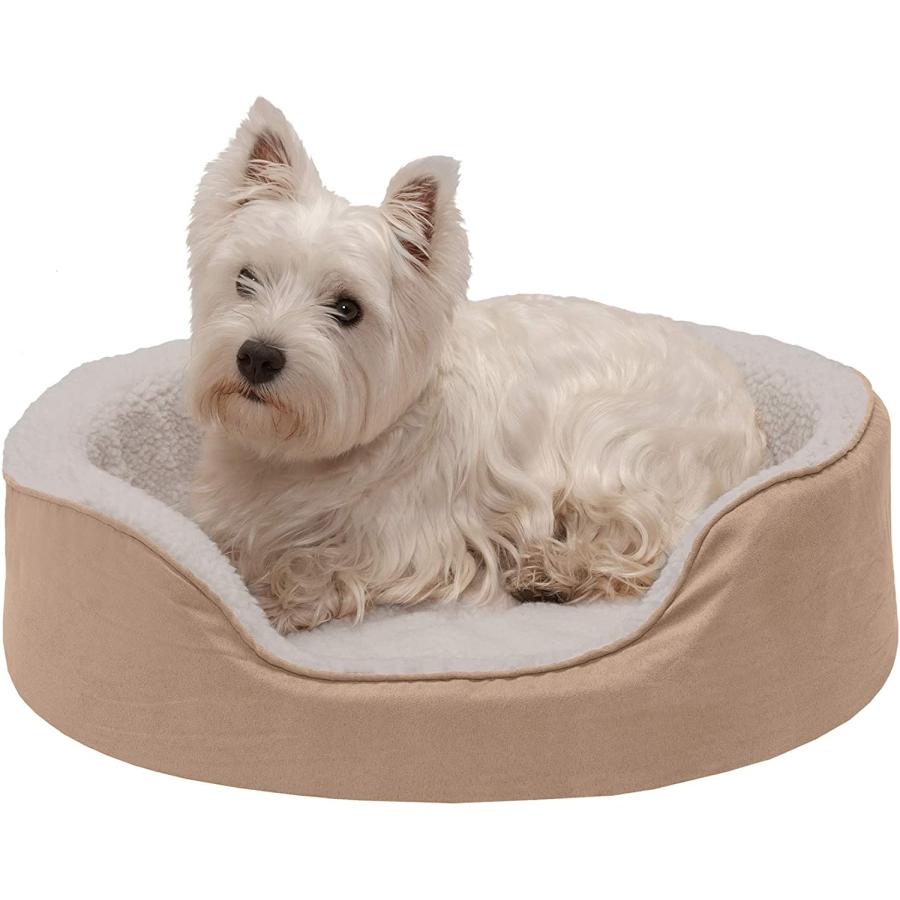 Furhaven nap 2024 pet bed