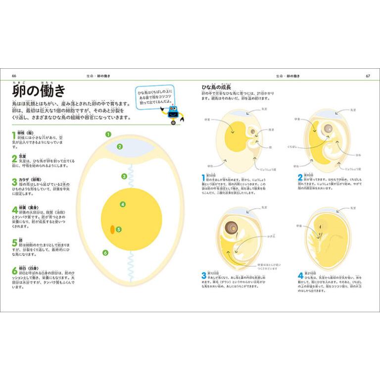 理科の図鑑 小学生のうちに伸ばしたい 世界基準の理系脳を育てる