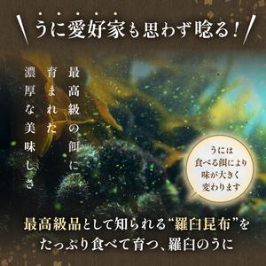 ふるさと納税 ＜先行予約＞北海道知床羅臼産 天然 エゾバフンうに （上）塩水うに 100g×2枚 200g UNI-0121 北海道羅臼町