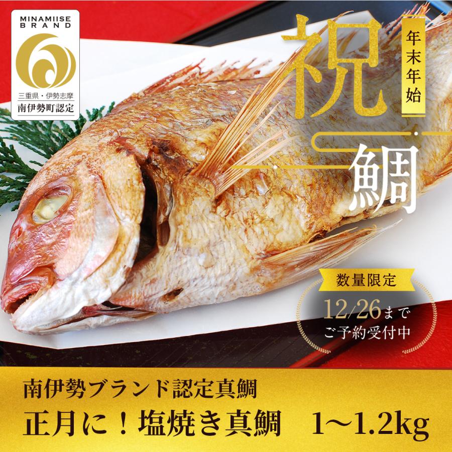 ＜送料無料＞塩焼き真鯛！ 電子レンジで簡単調理 １kg〜1.2kg