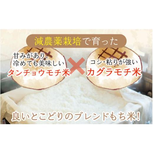 ふるさと納税 福井県 大野市 杵つきもち「まぜ餅」計16個 きな粉つき〜大野のお米と名水でつきあげた手造りのお餅〜 保存料 添加物 不使用