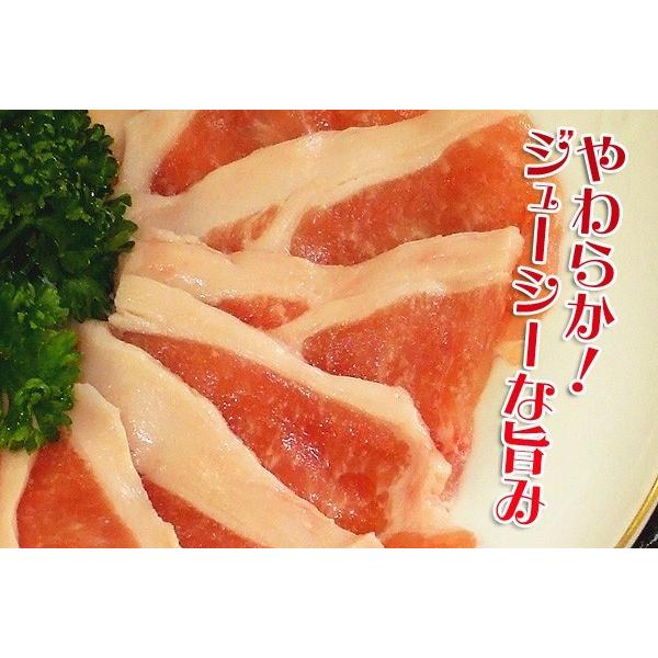 冷凍食品 業務用 お弁当 焼肉 生姜焼き バーベキュー ロース (焼肉 焼き肉 バーベキュー）しょうが焼き 国産生豚ロース200g 国産