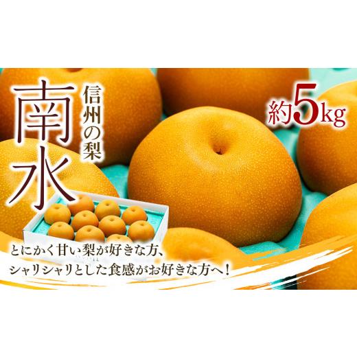 ふるさと納税 長野県 箕輪町 梨 長野 南水 約 5kg 信州の梨 家庭用 フルーツ 果物 デザート おやつ なし ナシ なんすい…