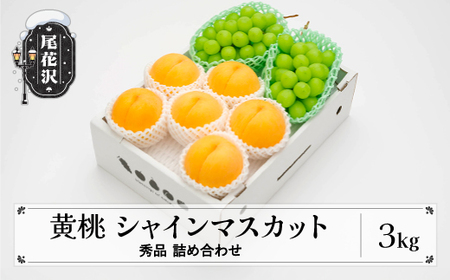 先行予約  有袋黄桃 シャインマスカット 秀品 詰め合わせ 3kg 2024年産 令和6年産 山形県産 送料無料 もも ぶどう 果物 フルーツ セット※沖縄・離島への配送不可 ns-fsosx3