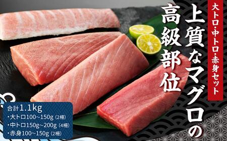 本マグロセット 計1.1kg（大トロ・中トロ・赤身）