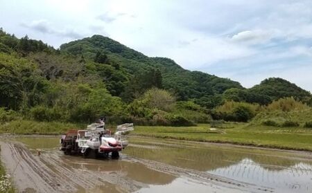 姫ごのみ（玄米）10kg 茨城県 大子町 米