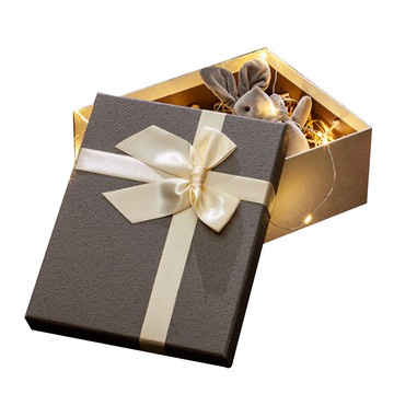 禮品盒(大盒) 25*19.7*10cm 中型 包裝盒 精緻禮盒 生日禮物  禮物盒  盒子 禮盒