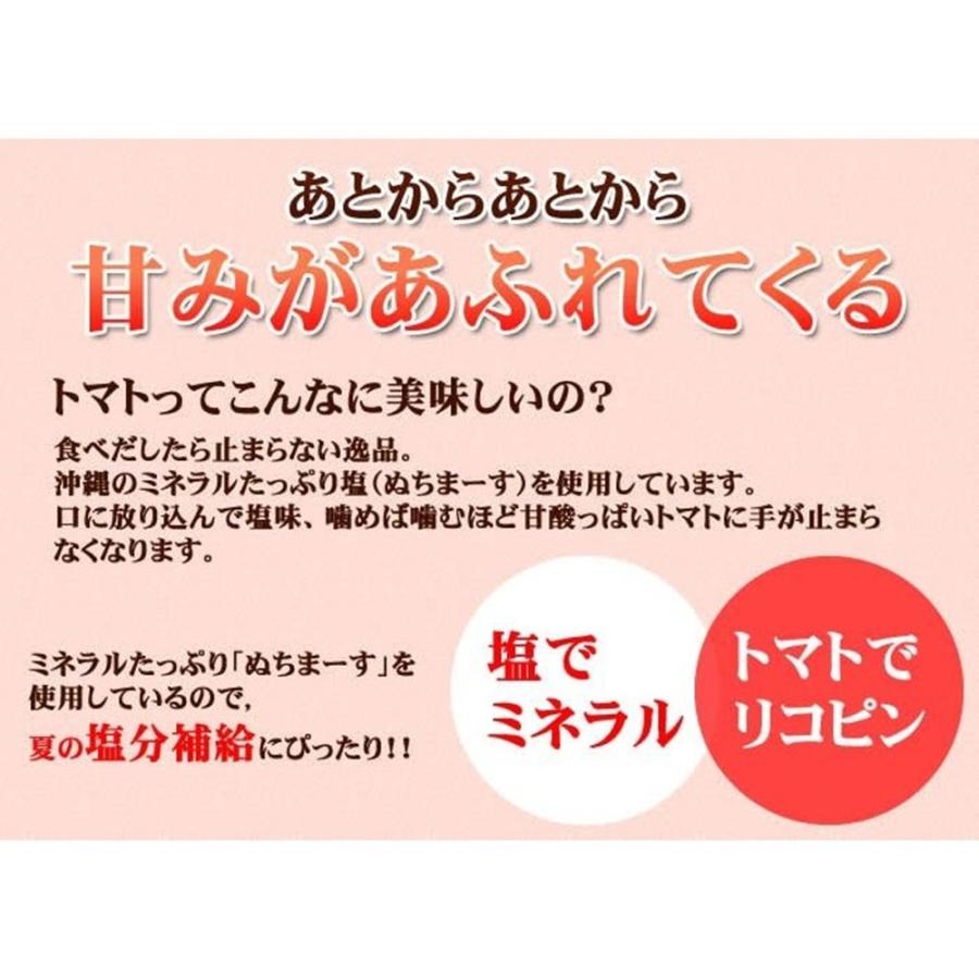 塩トマト 30g×10P 沖縄美健販売 ドライトマト ミネラル補給 リコピン 沖縄土産 沖縄 人気