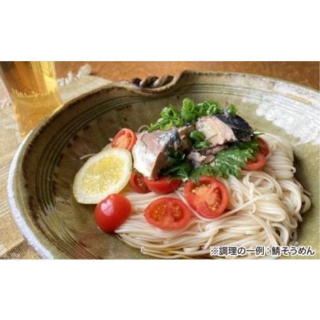 ふるさと納税 淡路島手延べ麺お試チョイス（国産原料100％使用手延べそうめん） 兵庫県南あわじ市