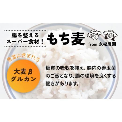 ふるさと納税 佐賀県 白石町 白石産 もち麦 900g（300g×3袋）／回（総計5.4kg） [IAA035]