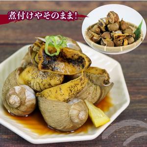 ふるさと納税 つぶ貝 三陸産 ボイル 1kg  岩手県大船渡市