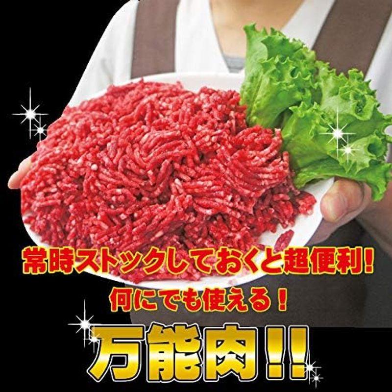 牛肉ひき肉国産100％ 5kg(500g×10) 冷凍品 pr