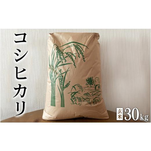 ふるさと納税 栃木県 塩谷町 《先行受付》令和5年産新米コシヒカリ玄米30kg ｜ 米 お米 国産 栃木県 塩谷町※2023年9月下旬〜2024年6月中旬頃に順次発送予定※…