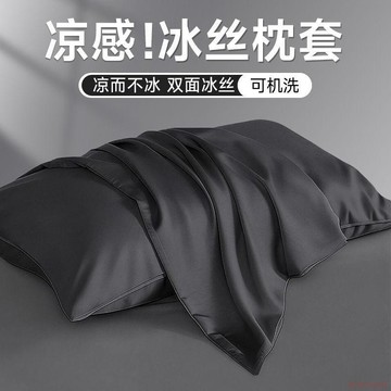 桃園出貨🍂夏季冰絲枕套一對裝枕頭套家用單個48cmx74cm枕芯內膽套夏天2只裝