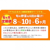  季節の野菜詰め合わせセット 8～10品目 《お申込み月の翌月から出荷開始》ゆめ・ステーション・このは 旬の野菜 キャベツ じゃがいも にんじん トマト 大根