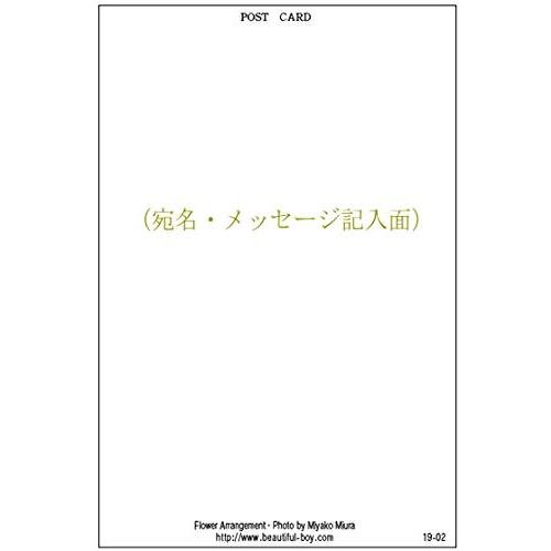 ポストカード 花の写真 おまけ セット 花屋オリジナル 花 ブーケ 花束 絵葉書 アレンジメント POSTCARD おしゃ