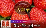 高級いちご「古都華」3L～Mサイズ４パック 高級 いちご 古都華 約1120g 4パック 3L ～ M サイズ 華やかな香り 高い糖度 16~18度 ほどよい酸味 濃厚な味わい ゆりかーご 果物 フルーツ デザート 贈り物 お取り寄せ お取り寄せフルーツ 奈良県 生駒市 送料無料