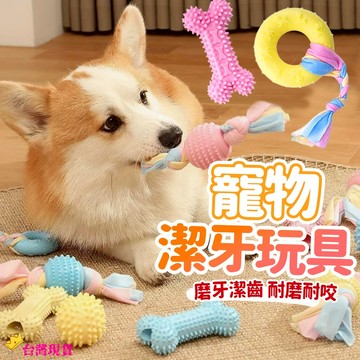 【12H發貨 滿額免運】寵物TPR磨牙玩具 訓練磨牙玩具 耐咬玩具 TPR無毒玩具 寵物訓練 狗狗磨牙玩具 狗狗潔齒玩具