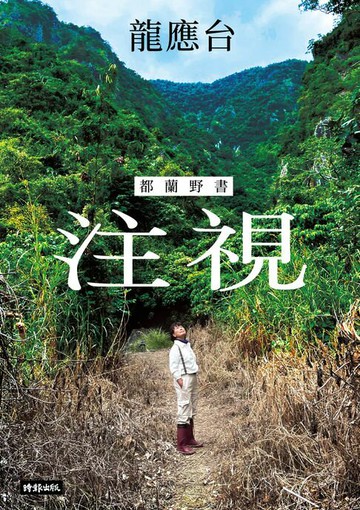 【電子書】注視--都蘭野書