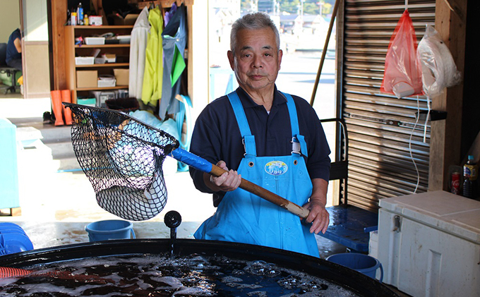 福井県ブランド若狭ふぐ　てっさ・てっちり料理自慢セット（3～4人前）