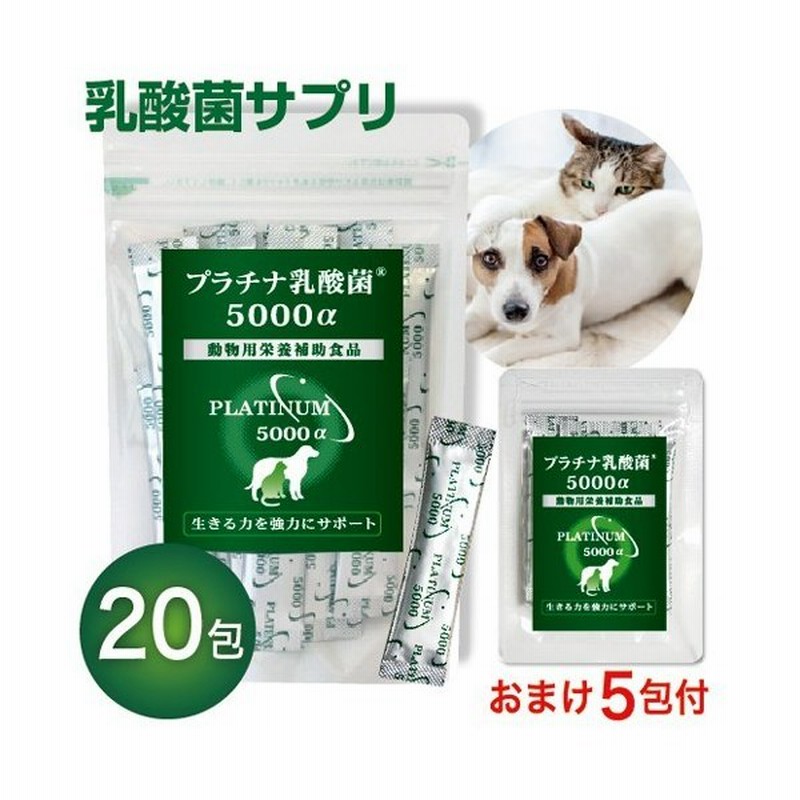 犬 猫 乳酸菌サプリ プラチナ乳酸菌5000a 顆粒タイプ１袋スティック30包入 ペットサプリ 国産 猫用 犬用 便秘 整腸 サプリメント 腸内環境サプリ 通販 Lineポイント最大0 5 Get Lineショッピング