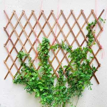 戶外陽臺壁掛山烏龜植物攀爬架鐵線蓮網格防腐木月季花架爬藤架子