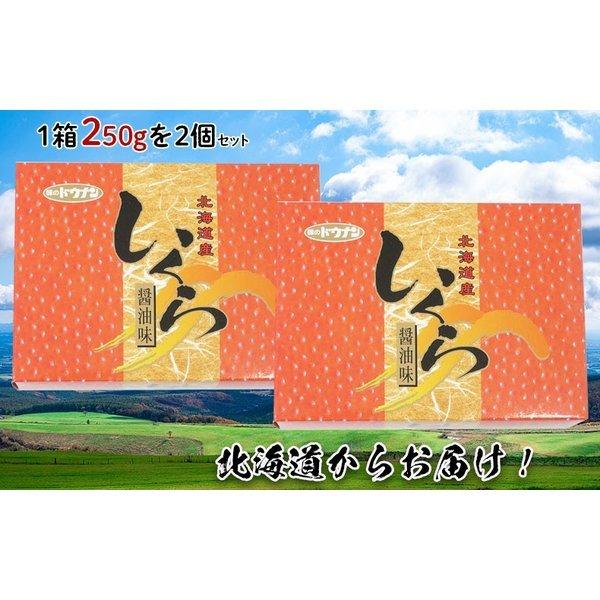 いくら 醤油漬け 北海道産 いくらの醤油漬け 1箱250g×2 合計500g 化粧箱入り お歳暮 2023 冬ギフト お正月 お祝い 海鮮 お取り寄せ グルメ ギフト広場