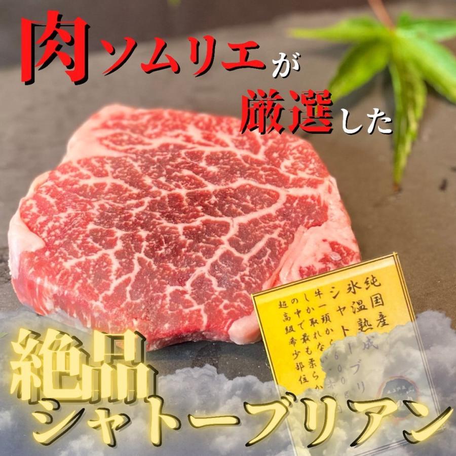 シャトーブリアン  ヒレステーキ 各100g×2 低温熟成 国産 牛 焼肉 赤身 肉 セット お洒落 贈り物 book型