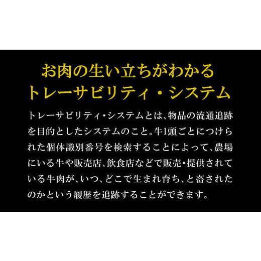 ふるさと納税 長崎県 雲仙市 雲仙牛(A5ランク)サーロインステーキ(200g×3ケ)