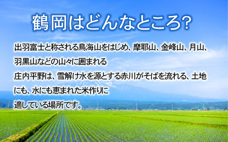 特別栽培米つや姫 5kg (5kg×1袋)×6ヶ月　鶴岡協同ファーム