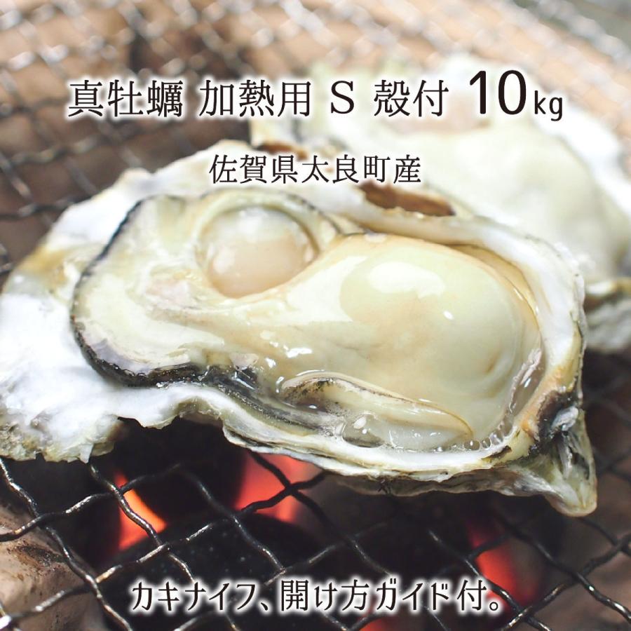 ふるさと納税 牡蠣 坂越かき 殻付き牡蠣 45個 軍手・オイスターナイフ