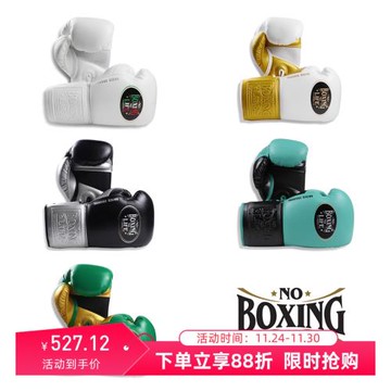 NoBoxingNoLife拳擊手套成人男女散打透氣網比賽訓練馬毛乳膠拳套