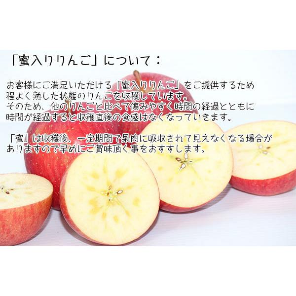 りんご サンふじ 家庭用 蜜入りりんご 葉とらずサンふじ 林檎 10kg  お取り寄せ 果物 フルーツ デザート リンゴ 青森県産 送料無料　お歳暮