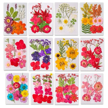 【小花田系列】 花包組合 真花壓花 永生花 森林系 少女寫真 壁畫 DIY水晶滴膠 乾燥花 植物標本