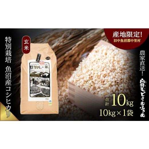 ふるさと納税 新潟県 十日町市 ≪令和5年産≫　農家直送！魚沼産コシヒカリ特別栽培「白羽毛の米」玄米(10kg×1袋) 10kg