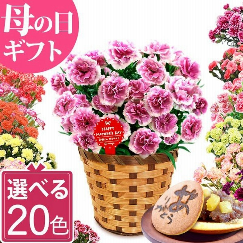 母の日 21 プレゼント ギフト 花 母の日 ギフト プレゼント カーネーション 鉢植え 花鉢 お菓子 スイーツ ギフトランキング 5号鉢 通販 Lineポイント最大0 5 Get Lineショッピング